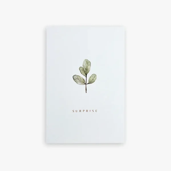 Carte avec enveloppe - Surprise